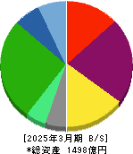 テスホールディングス 貸借対照表 2025年3月期