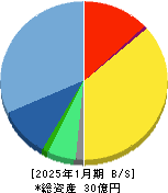 Ｒｉｄｇｅ－ｉ 貸借対照表 2025年1月期