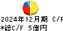 グリーンランドリゾート キャッシュフロー計算書 2024年12月期