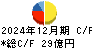 サン電子 キャッシュフロー計算書 2024年12月期