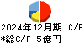 セーフィー キャッシュフロー計算書 2024年12月期