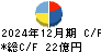 アイスタイル キャッシュフロー計算書 2024年12月期