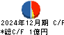 ジーダット キャッシュフロー計算書 2024年12月期