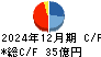 ウイルプラスホールディングス キャッシュフロー計算書 2024年12月期