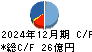 ヒラノテクシード キャッシュフロー計算書 2024年12月期