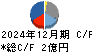 ザインエレクトロニクス キャッシュフロー計算書 2024年12月期