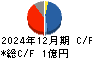 セイファート キャッシュフロー計算書 2024年12月期