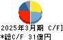 テクノホライゾン キャッシュフロー計算書 2025年3月期