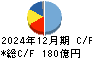 ホシデン キャッシュフロー計算書 2024年12月期