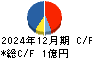 Ｒｅｃｏｖｅｒｙ　Ｉｎｔｅｒｎａｔｉｏｎａｌ キャッシュフロー計算書 2024年12月期