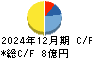 マイクロアド キャッシュフロー計算書 2024年12月期