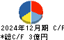 イルグルム キャッシュフロー計算書 2024年12月期