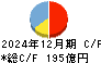 イーレックス キャッシュフロー計算書 2024年12月期