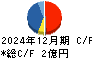 アソインターナショナル キャッシュフロー計算書 2024年12月期