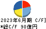 日本農薬 キャッシュフロー計算書 2023年6月期