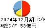 ブイ・テクノロジー キャッシュフロー計算書 2024年12月期