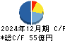 東洋証券 キャッシュフロー計算書 2024年12月期