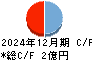 テクノマセマティカル キャッシュフロー計算書 2024年12月期