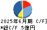 ＧＭＯ　ＴＥＣＨ キャッシュフロー計算書 2025年6月期