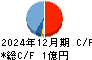 ＴＤＳＥ キャッシュフロー計算書 2024年12月期