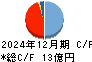 窪田製薬ホールディングス キャッシュフロー計算書 2024年12月期 窪田製薬ホールディングス キャッシュフロー計算書 2024年12月期