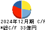 ビケンテクノ キャッシュフロー計算書 2024年12月期