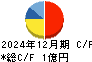 ロジザード キャッシュフロー計算書 2024年12月期