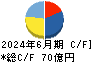 ウイルプラスホールディングス キャッシュフロー計算書 2024年6月期
