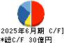DNホールディングス キャッシュフロー計算書 2025年6月期 DNホールディングス キャッシュフロー計算書 2025年6月期