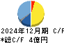 シリウスビジョン キャッシュフロー計算書 2024年12月期