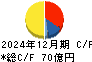 テイカ キャッシュフロー計算書 2024年12月期