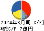 テイン キャッシュフロー計算書 2024年3月期 テイン キャッシュフロー計算書 2024年3月期