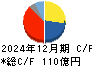 東洋炭素 キャッシュフロー計算書 2024年12月期