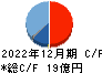山田コンサルティンググループ キャッシュフロー計算書 2022年12月期