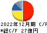 恵和 キャッシュフロー計算書 2022年12月期