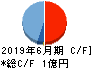 ビーブレイクシステムズ キャッシュフロー計算書 2019年6月期 ビーブレイクシステムズ キャッシュフロー計算書 2019年6月期