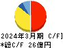 南海化学 キャッシュフロー計算書 2024年3月期