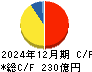 大栄環境 キャッシュフロー計算書 2024年12月期