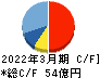 中央自動車工業 キャッシュフロー計算書 2022年3月期 中央自動車工業 キャッシュフロー計算書 2022年3月期