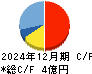 ティアンドエスグループ キャッシュフロー計算書 2024年12月期