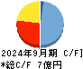 データセクション キャッシュフロー計算書 2024年9月期