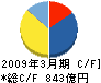 日新製鋼 キャッシュフロー計算書 2009年3月期