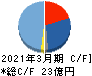 ナンシン キャッシュフロー計算書 2021年3月期