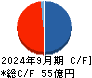 ＤＮホールディングス キャッシュフロー計算書 2024年9月期