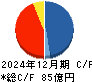 セントラル総合開発 キャッシュフロー計算書 2024年12月期