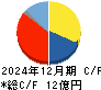 シンシア キャッシュフロー計算書 2024年12月期