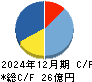 ドリコム キャッシュフロー計算書 2024年12月期