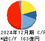 日本マイクロニクス キャッシュフロー計算書 2024年12月期