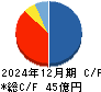 ランディックス キャッシュフロー計算書 2024年12月期