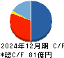 人・夢・技術グループ キャッシュフロー計算書 2024年12月期